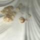 pepsico - aparición de gusano en avena quaker