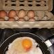 cuisine & co - huevo con presencia de pseudomona